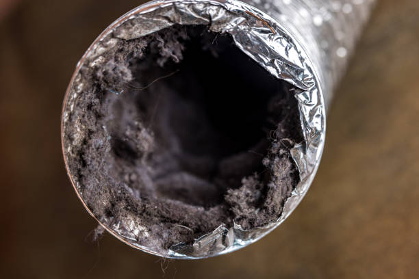 Best Affordable Duct Cleaning Services  in Bardmoor, FL